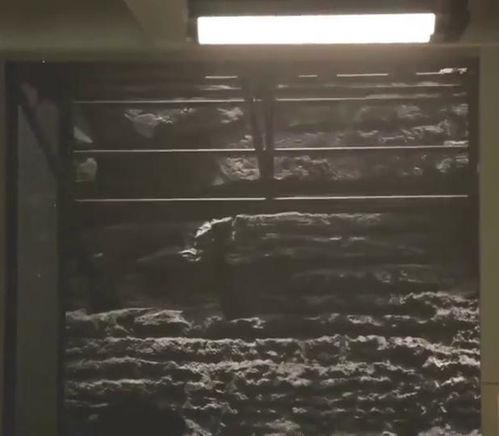 国产老电影删减片段视频