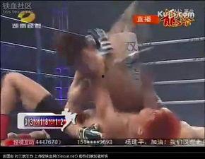 国产猛男猛女免费视频,免费视频带你领略热血激情