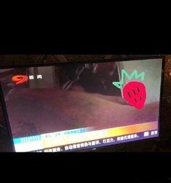 国产按摩店视频