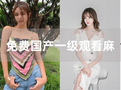 国产无遮挡女仆视频大全,揭秘女仆文化的魅力与风情