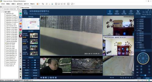 国产免冠视频,展现真实生活瞬间