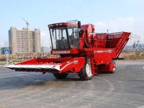 国产新型玉米收割机视频,高效智能，引领农业现代化新篇章