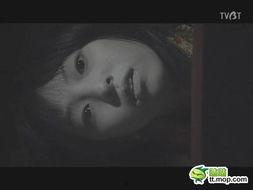 鬼片视频短片国产,惊悚氛围下的本土创意探索