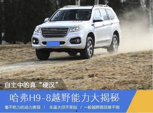 国产车哈弗越野视频下载,国产硬派SUV极限挑战实况下载