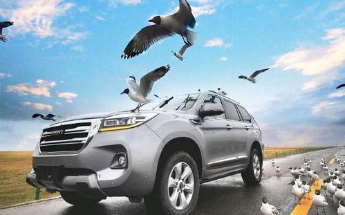 国产汽车大佬是谁啊视频,大佬风采