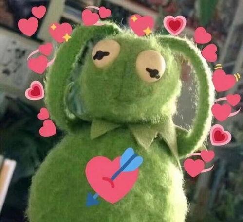 国产小青蛙 粉丝视频,萌动瞬间，共赏青蛙魅力