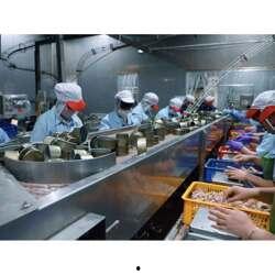 国产罐头代工厂测评视频,品质与效率的双重见证