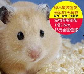 仓鼠国产木屑测评视频,仓鼠用品新选择，品质与环保并存