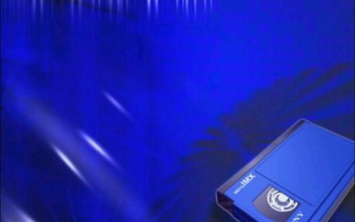 538r在线国产视频7,国产视频领域的热门新势力