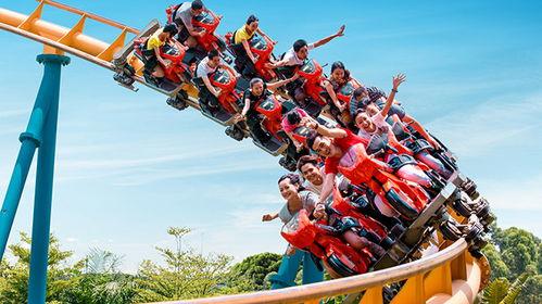 积木过山车国产可以滑拼装视频