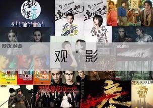 奥门金沙国产免费看视频,揭秘热门影视资源平台  第3张