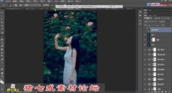 国产精调视频,匠心独运，光影交织的艺术之旅