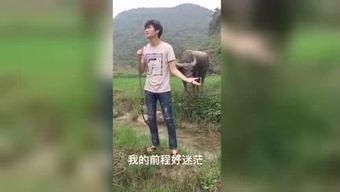 国产a福利视频  第1张